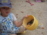 img0017.jpg