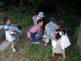 img0025.jpg