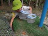 img0027.jpg