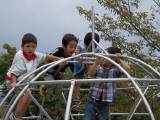 img0031.jpg