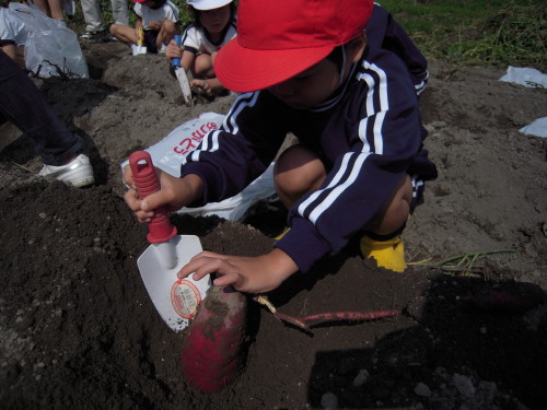 img0004.jpg