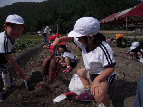 img0009.jpg