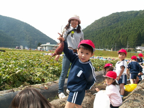 img0010.jpg