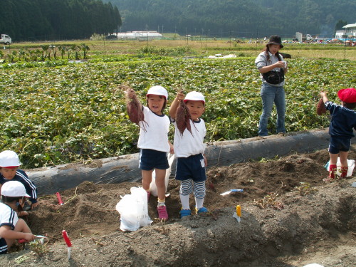 img0015.jpg