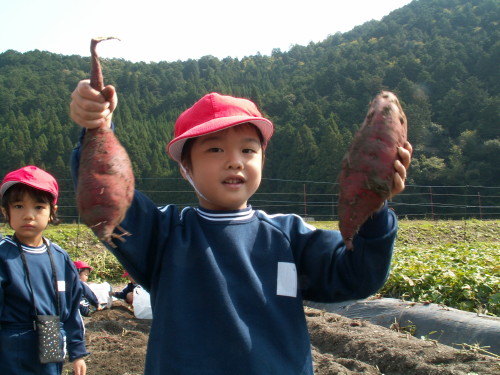 img0017.jpg