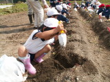 img0000.jpg