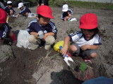 img0002.jpg