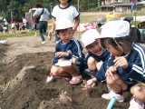 img0005.jpg