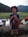 img0008.jpg
