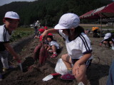 img0009.jpg