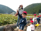 img0010.jpg