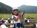 img0013.jpg