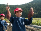 img0017.jpg