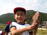 img0018.jpg