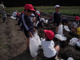 img0022.jpg
