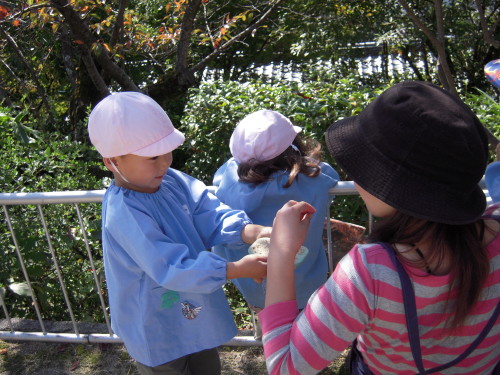 img0007.jpg