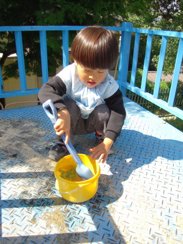 img0015.jpg