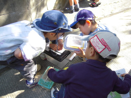 img0036.jpg