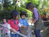 img0003.jpg