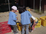 img0004.jpg