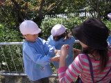 img0007.jpg