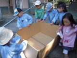 img0009.jpg