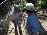 img0017.jpg