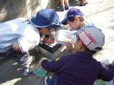 img0036.jpg