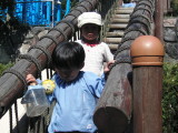 img0037.jpg