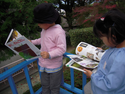 img0002.jpg