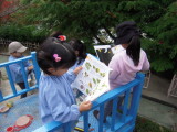 img0003.jpg