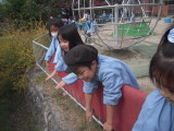 img0024.jpg
