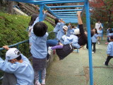 img0009.jpg