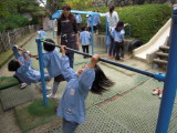 img0010.jpg