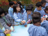 img0011.jpg