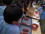 img0014.jpg
