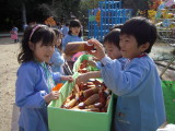 img0045.jpg