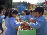 img0046.jpg