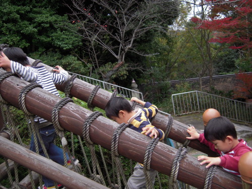 img0020.jpg