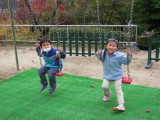 img0008.jpg