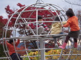 img0014.jpg