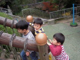 img0019.jpg