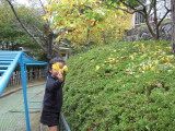 img0029.jpg