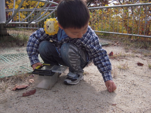 img0003.jpg