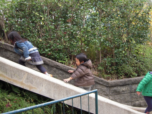 img0018.jpg