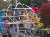 img0004.jpg