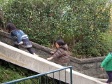 img0018.jpg