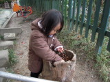 img0020.jpg