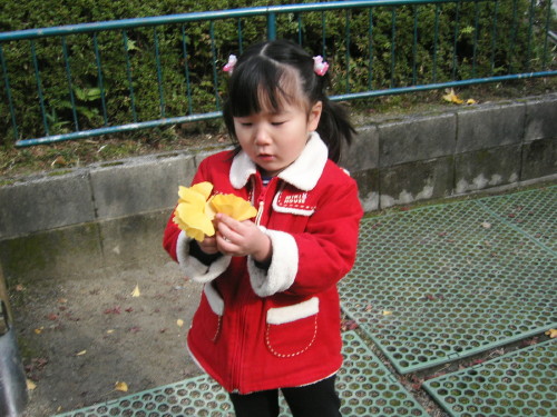 img0012.jpg