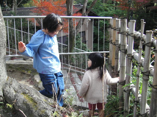 img0018.jpg